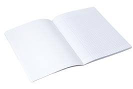 CAHIER TRAVAUX PRATIQUE 2 FEUILLES 384 PAGES GRAND FORMAT