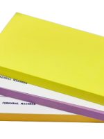 MEMO STICKERS 100 feuillets 76×127 mm NEON